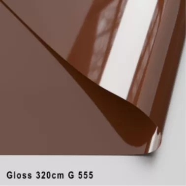 GLOSS ЦВЕТНОЙ 320 CМ G 555