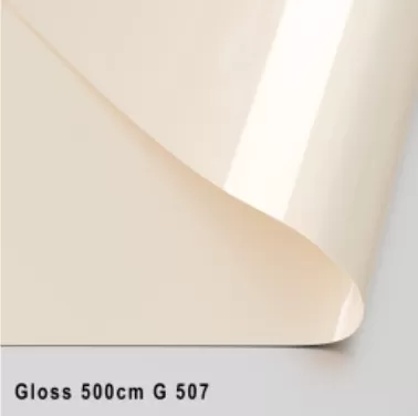 GLOSS ЦВЕТНОЙ 500 CМ G 507