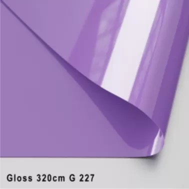 GLOSS ЦВЕТНОЙ 320 CМ G 227