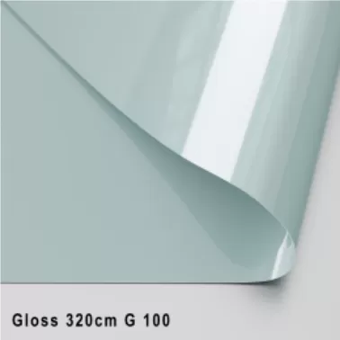 GLOSS ЦВЕТНОЙ 320 CМ G 100