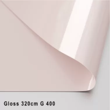 GLOSS ЦВЕТНОЙ 320 CМ G 400