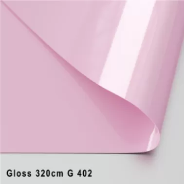 GLOSS ЦВЕТНОЙ 320 CМ G 402