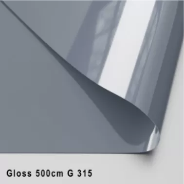 GLOSS ЦВЕТНОЙ 500 CМ G 315