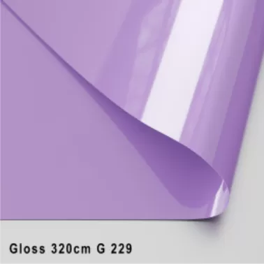 GLOSS ЦВЕТНОЙ 320 CМ G 229