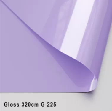 GLOSS ЦВЕТНОЙ 320 CМ G 225