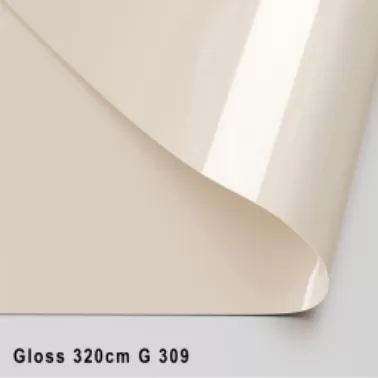 GLOSS ЦВЕТНОЙ 320 CМ G 309