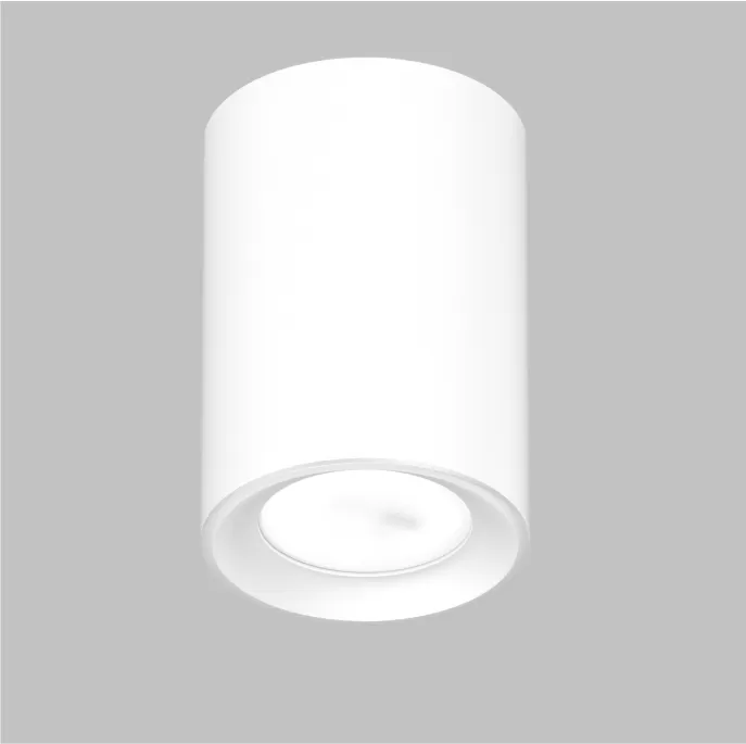 SPT 01-13 - Светильник "Spot" GU10 230V (белый)