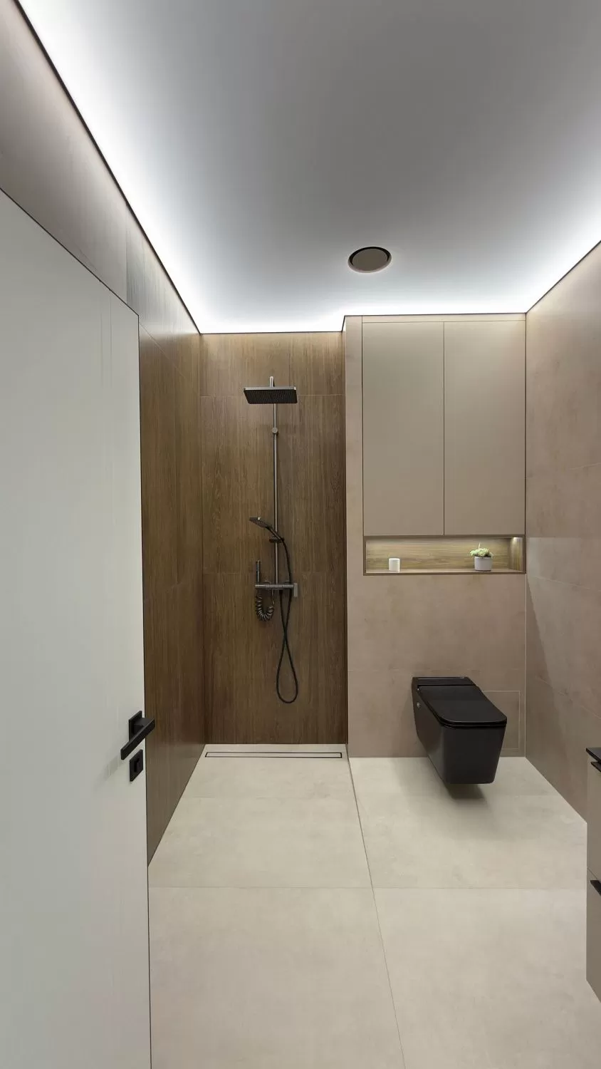 Проект Тельмы-1